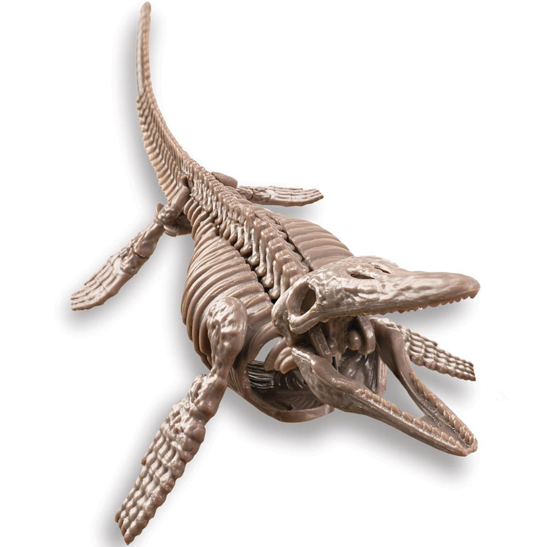 4m dinosaurus opgraven - mosasaurus | 5603457 | 2