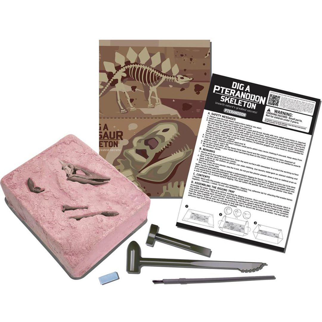 4m dinosaurus opgraven - pteranodon | 5603459 | 3