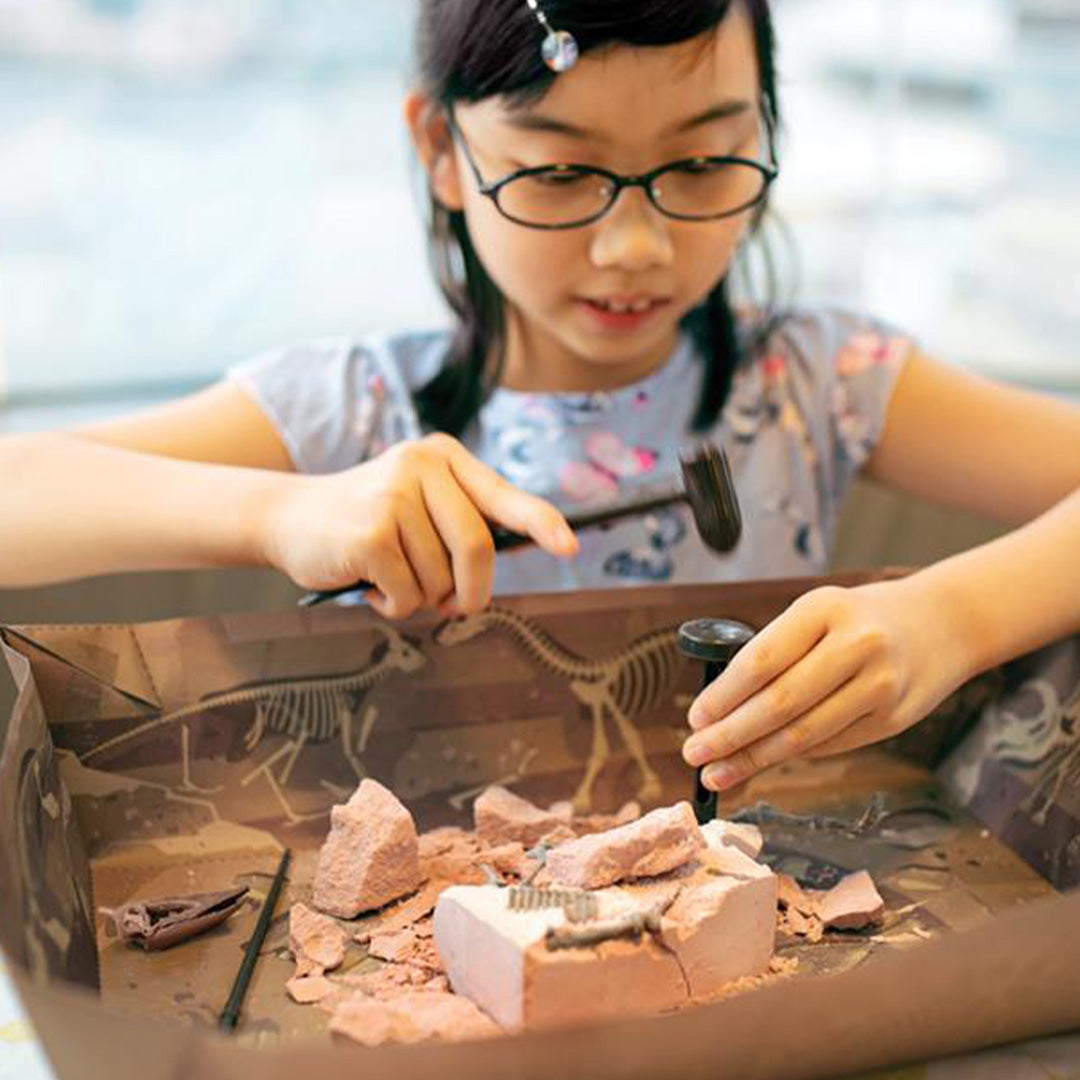 4m dinosaurus opgraven - pteranodon | 5603459 | 4