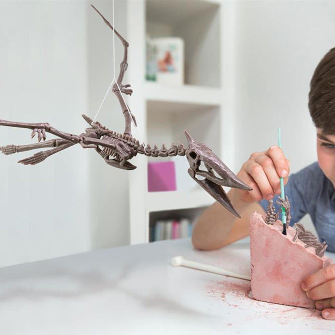 4m dinosaurus opgraven - pteranodon | 5603459 | 5