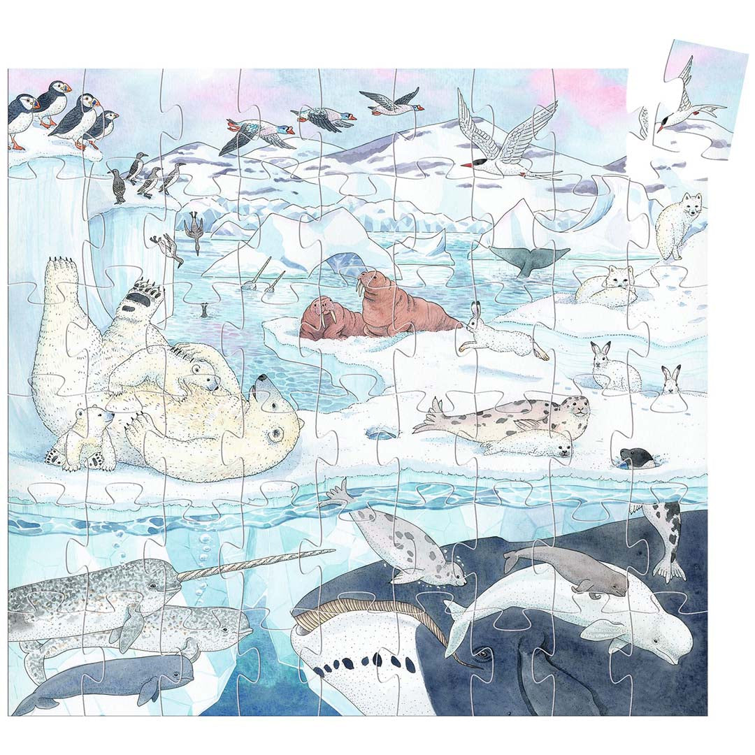 djeco puzzel zachte poolwereld - 54st | DJ07294 | 1