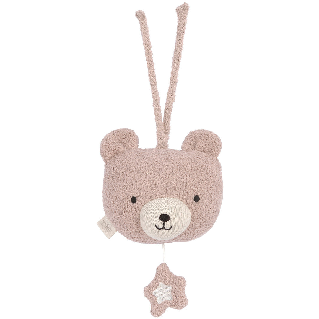 lässig muziekdoos miracle of nature bear | 13130581440 | 
