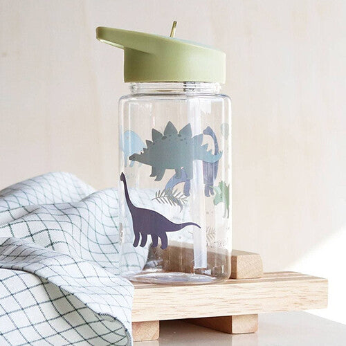 a little lovely company drinkfles met rietje - dinosaurus - 450ml | DBDIGR33 | 1