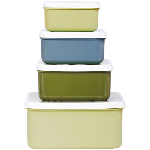 a little lovely company lunchbox set - dinosaurussen - 4st | SBSEDI38 | 4