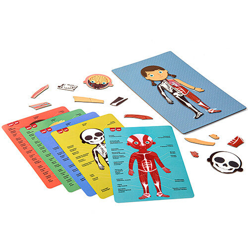 apli kids magneetspel menselijk lichaam | 32018531 | 1