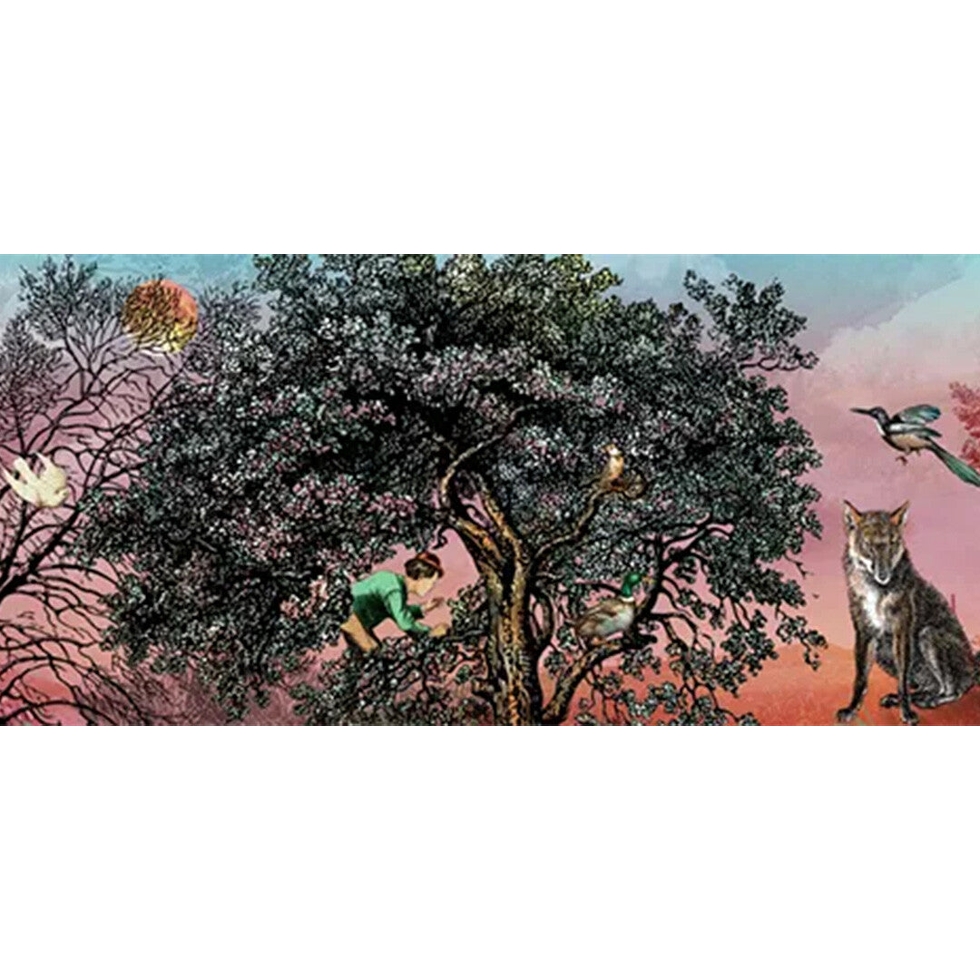 belle lurette muziekdoosje brilly - peter and the wolf | BRILLY006 | 2