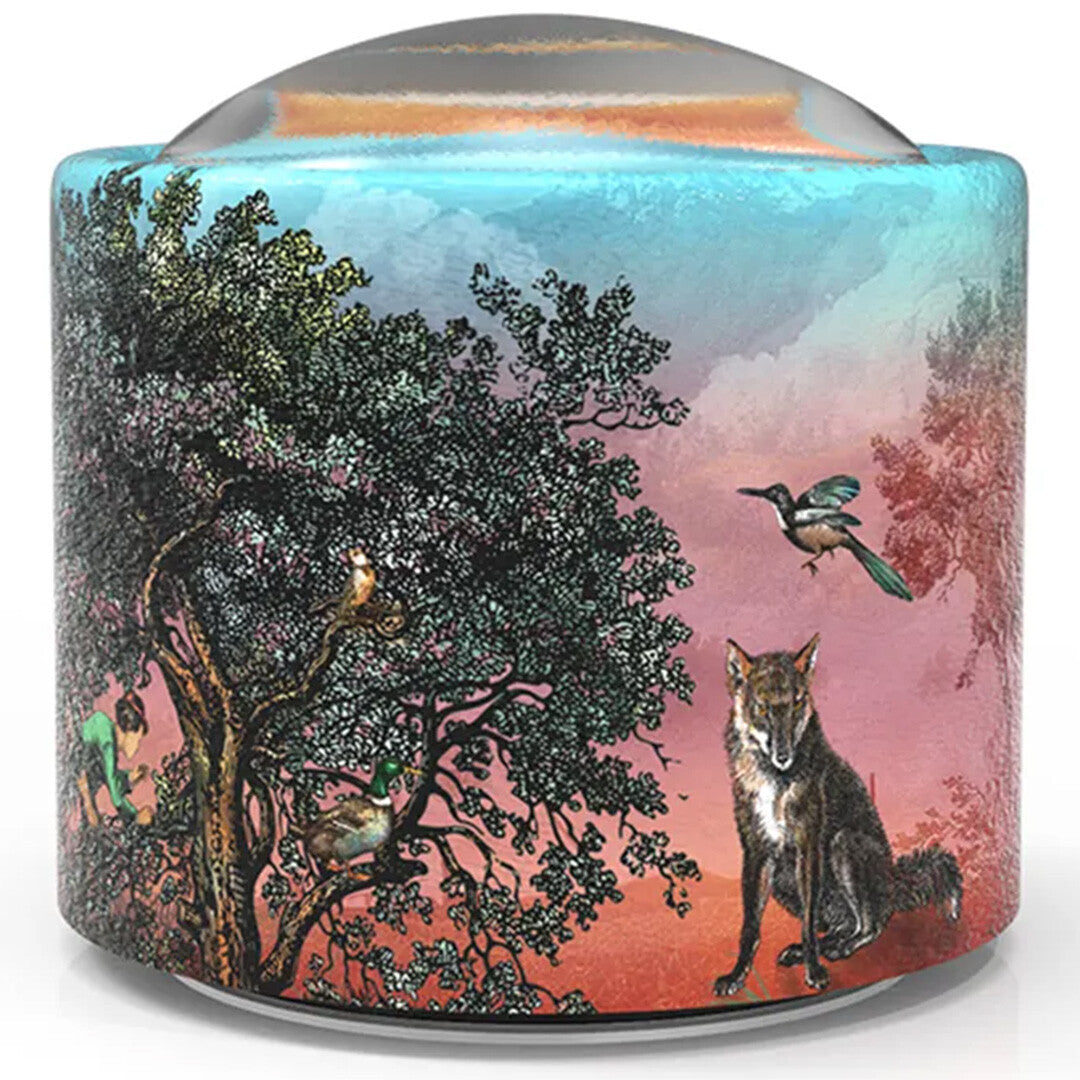belle lurette muziekdoosje brilly - peter and the wolf | BRILLY006 | 3