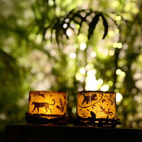 box candiy knutselset windlichtjes maken - jungle | 9939047 | 5