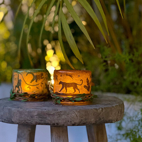 box candiy knutselset windlichtjes maken - jungle | 9939047 | 6