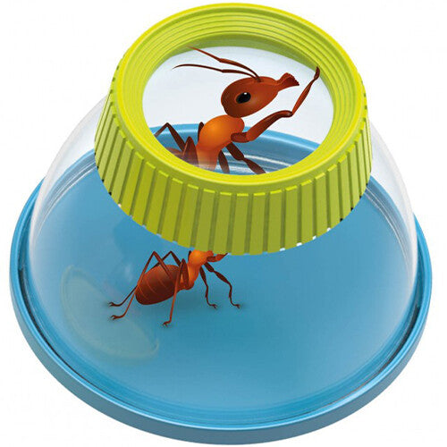 buki insectenloep - assorti | 509005 | 3