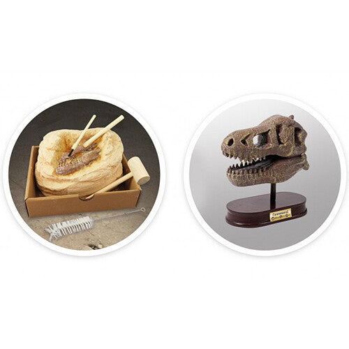 buki mega opgraafkit dinoschedel - t-rex | BU2130 | 4