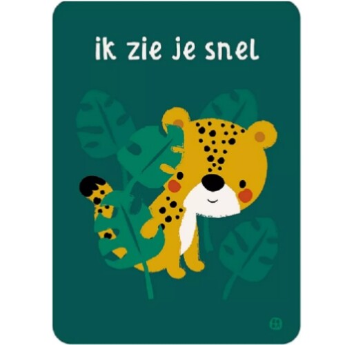 by bora ansichtkaart jungle - cheetah | PCJU04 | 0