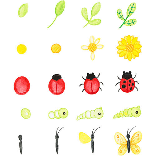 creativ company ontdekkingskoffer voor de natuur  | 98119 | 2