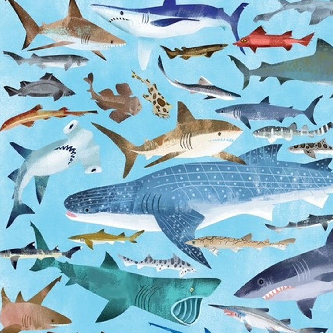 crocodile creek puzzel 36 haaien - 100st | CC40548 | 3