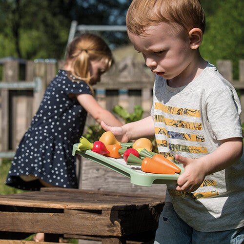 dantoy green garden kweekkas - 18-delig  | DY4725 | 4