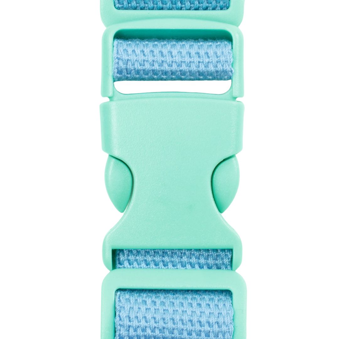 djeco heuptas skelet   | DD00334 | 2