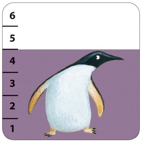 djeco kaartspel batanimo | DJ05177 | 3