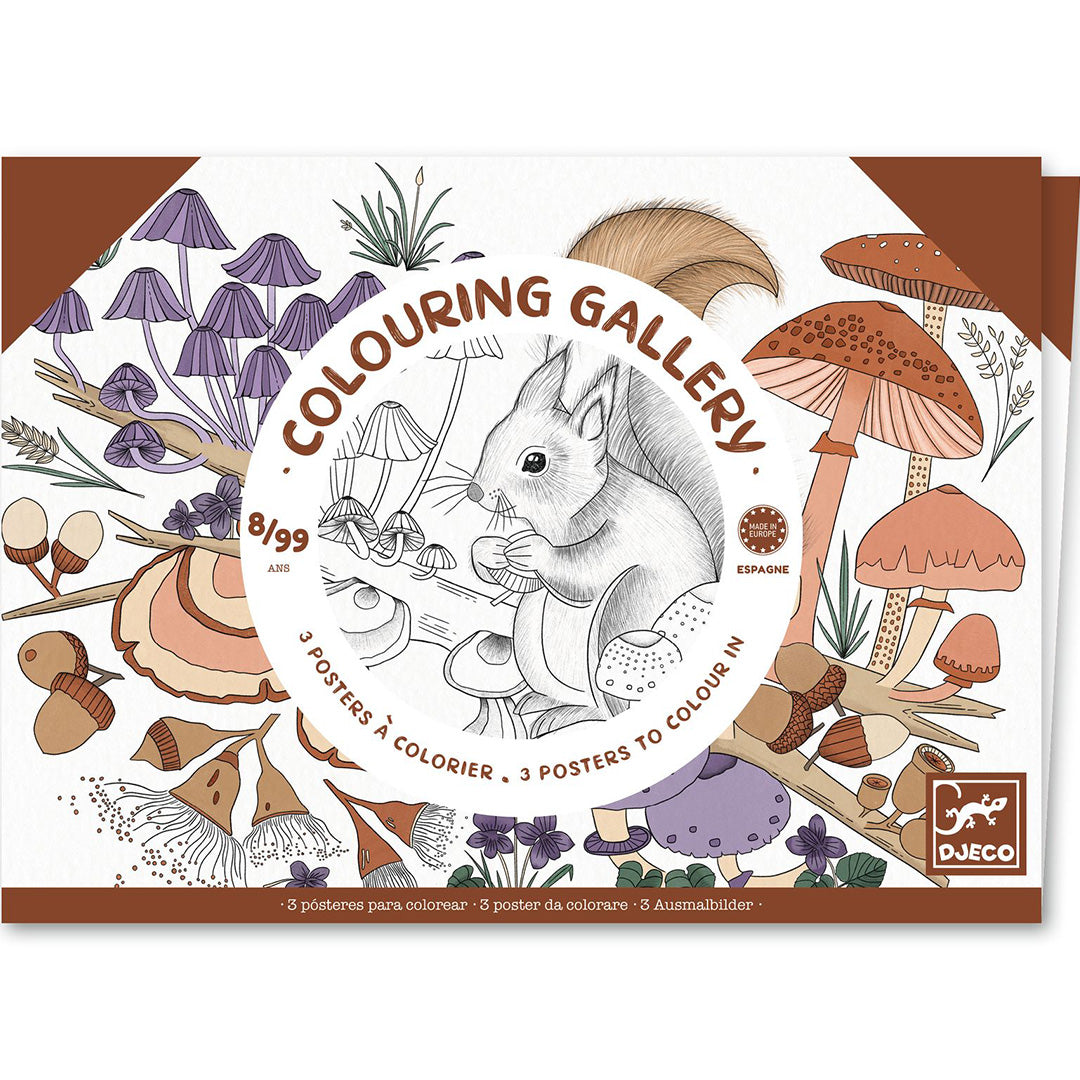 djeco kleurplaten in portfolio map - natuur - 3st | DJ08696 | 0