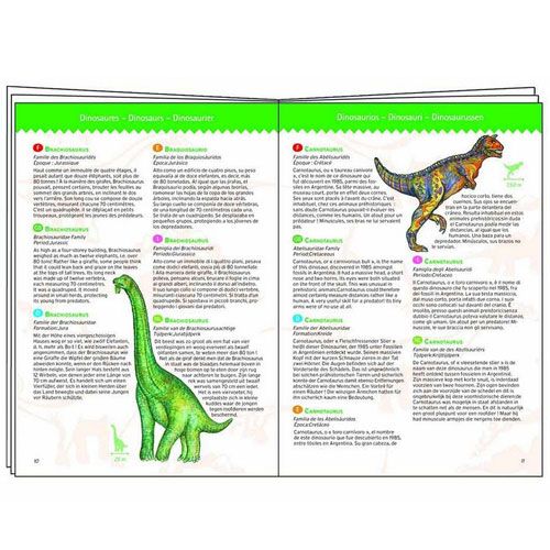 djeco puzzel observation dinosaurussen (100st) | DJ07424 | 4