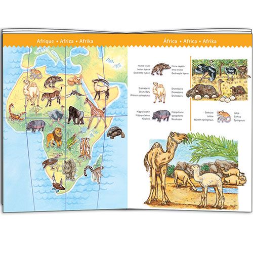 djeco puzzel observation werelddieren (100st) | DJ07420 | 3