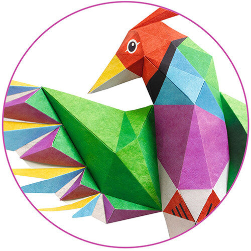 djeco vouwset 3D poster - paradijsvogel | DJ09448 | 1