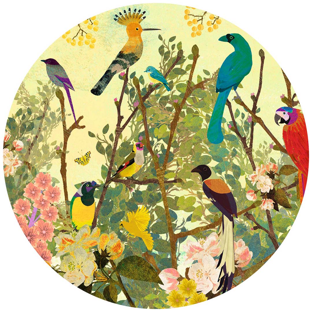 djeco puzzel peaceful birds - 1000st | DJ07687 | 3