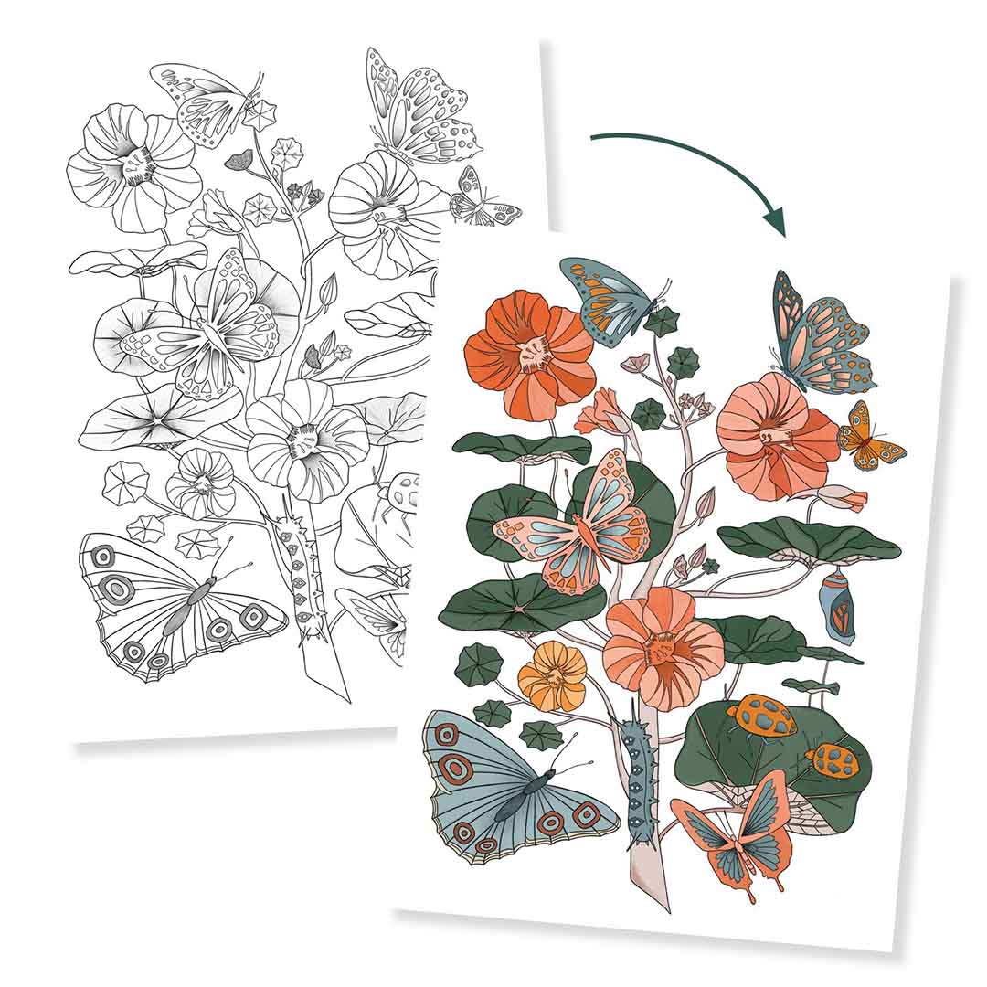djeco kleurplaten in portfolio map - natuur - 3st | DJ08696 | 2