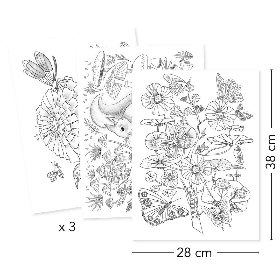 djeco kleurplaten in portfolio map - natuur - 3st | DJ08696 | 3