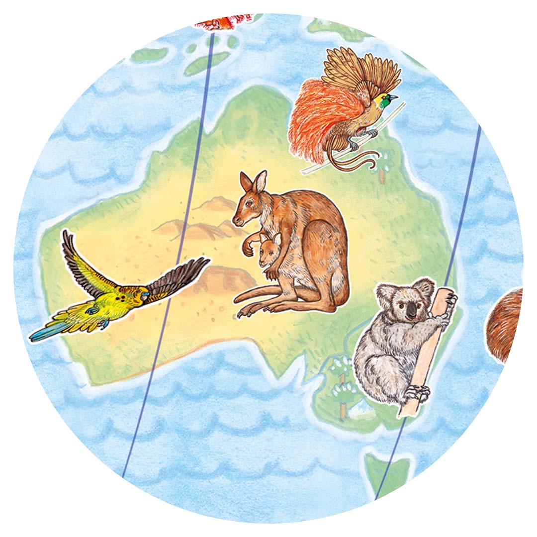 djeco puzzle observation - animaux du monde (100 pièces)