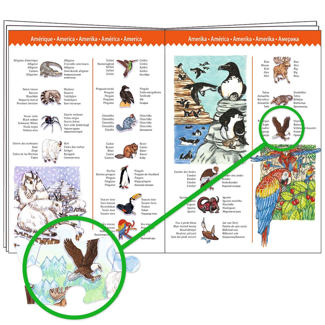djeco puzzle observation - animaux du monde (100 pièces)