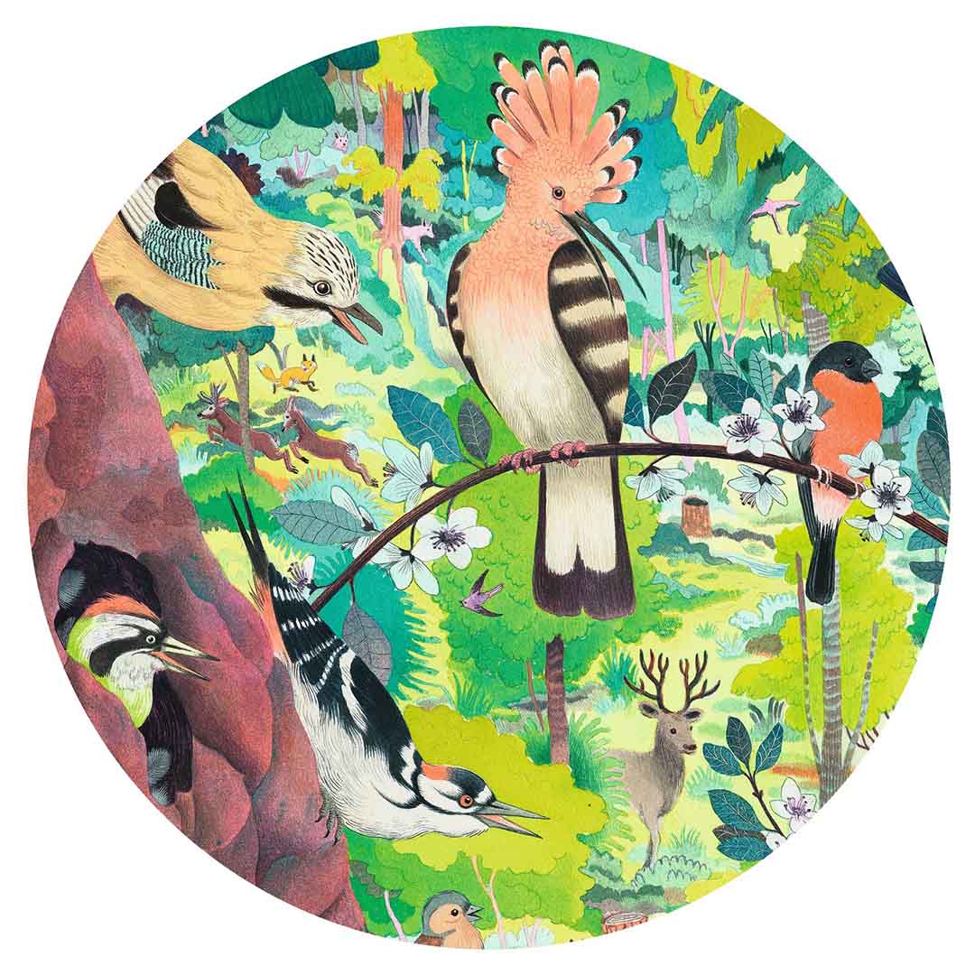 djeco puzzel uilen en vogels - 1000st | DJ07644 | 3