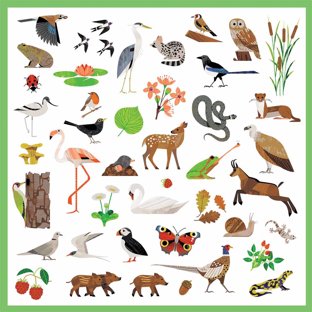 djeco stickers fauna - 160st | DJ09285 | 2