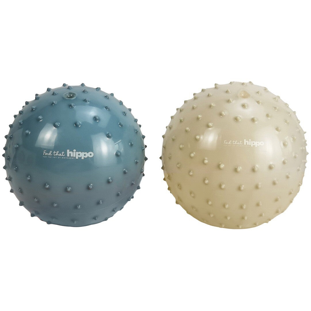 find that hippo sensorische ballen - blauw - 2st | 1740149 | 0
