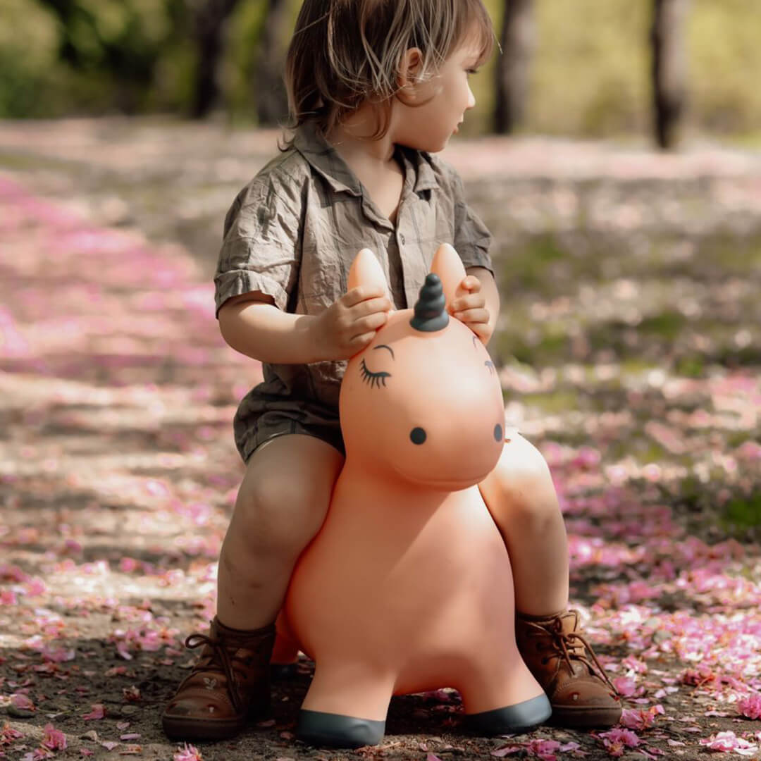 find that hippo skippydier eenhoorn | 1740115 | 1