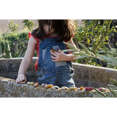 grapat houten insecten (18st) | 19-209 | 2