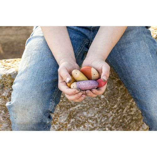 grapat houten insecten (18st) | 19-209 | 3