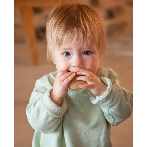 grapat houten schijfjes - naturel (6st) | 18-184 | 2