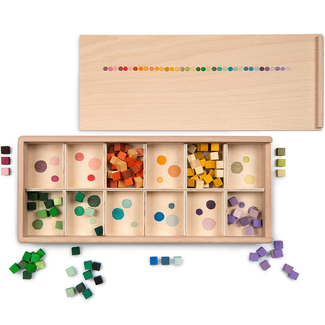 grapat sorteerbak met blokjes - 430st | 24-257 | 0