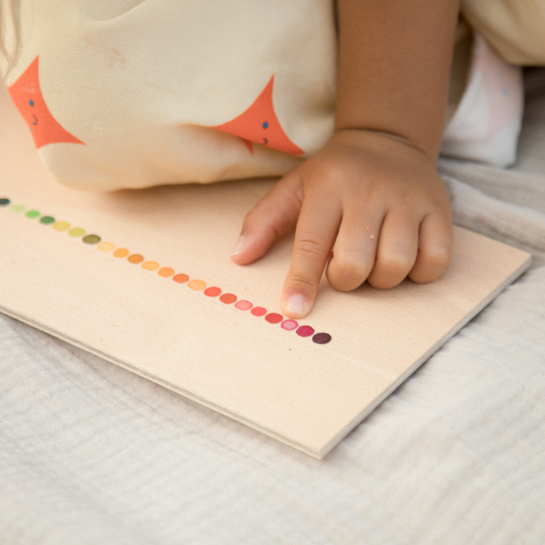 grapat sorteerbak met blokjes - 430st | 24-257 | 5