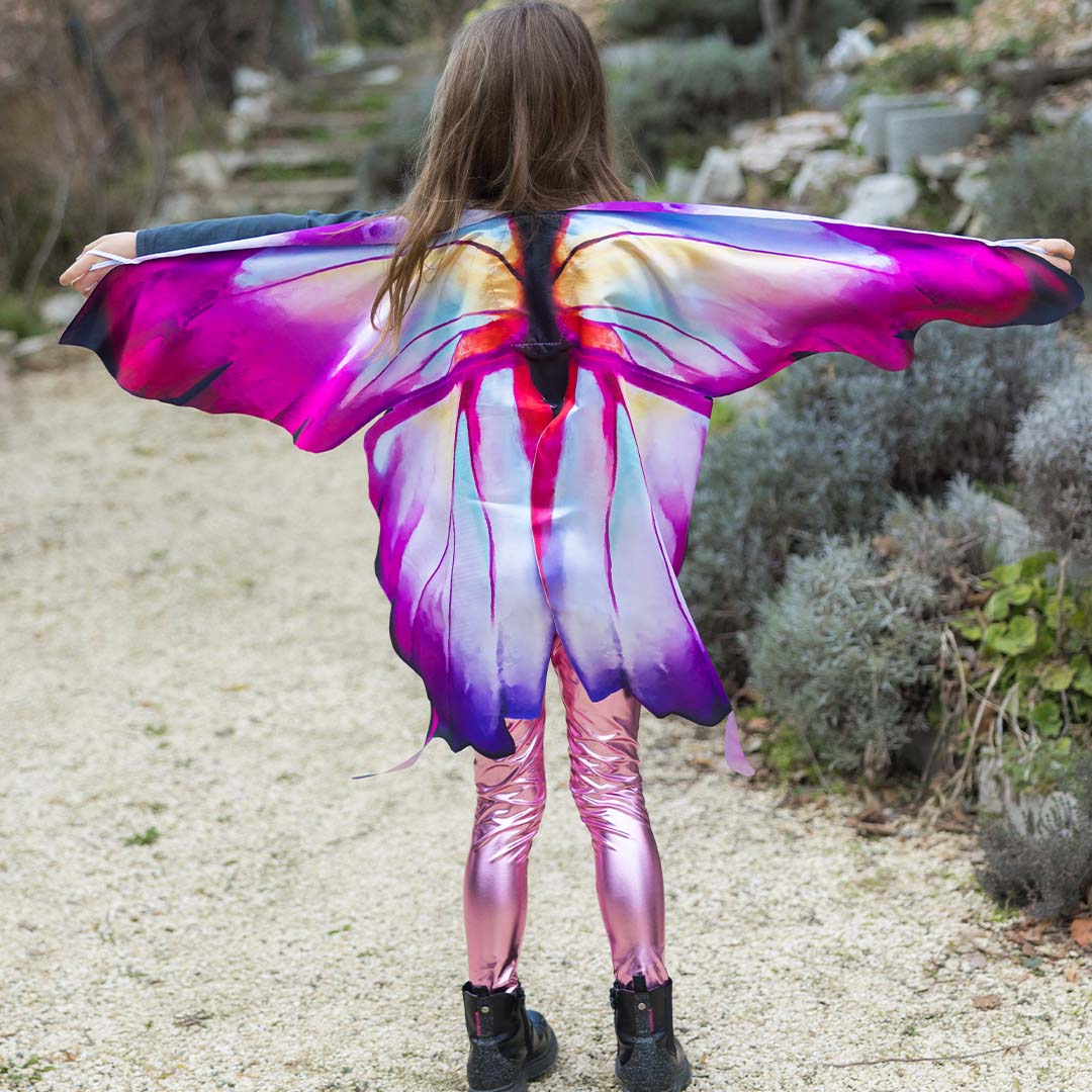 great pretenders vleugels vlinder ombre - 4-6 jaar | 53905 | 1