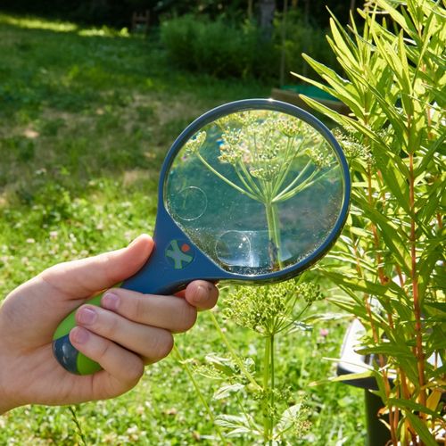 haba terra kids - vergrootglas | 303529 | 1