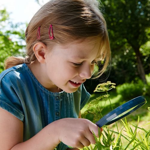 haba terra kids - vergrootglas | 303529 | 2