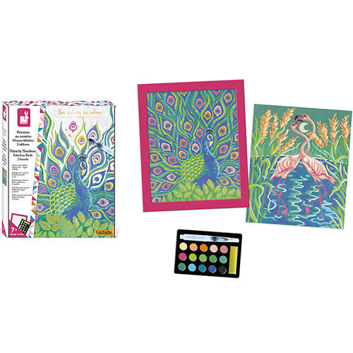 janod schilderen op nummer vogels | 11.7986 | 8