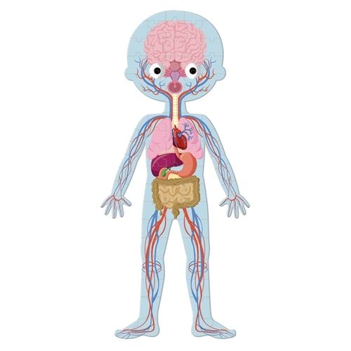 janod silhouetpuzzel menselijk lichaam - 50, 75, 100st | 11.2681 | 4