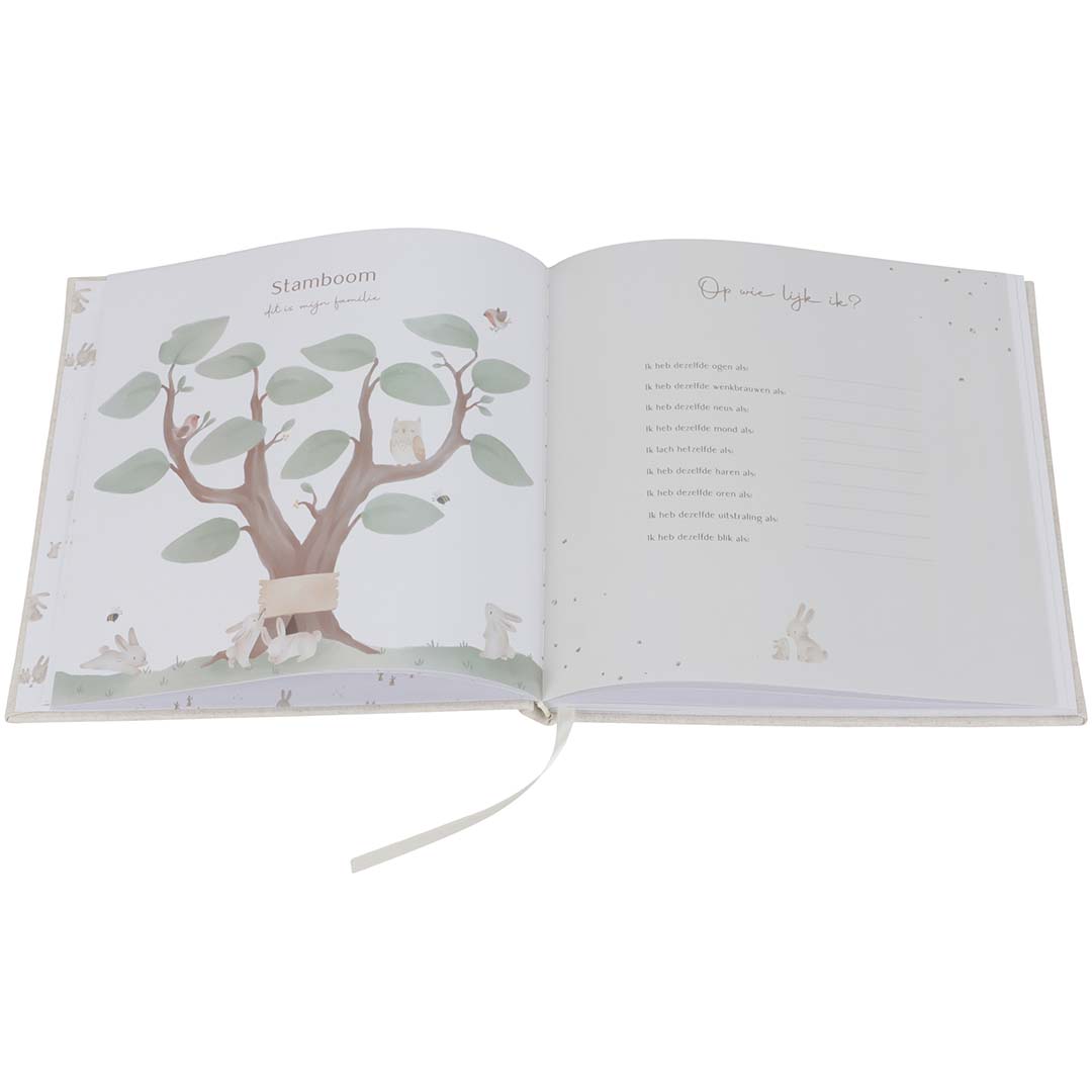 little dutch invulboek mijn eerste jaar - baby bunny | LD4744 | 4
