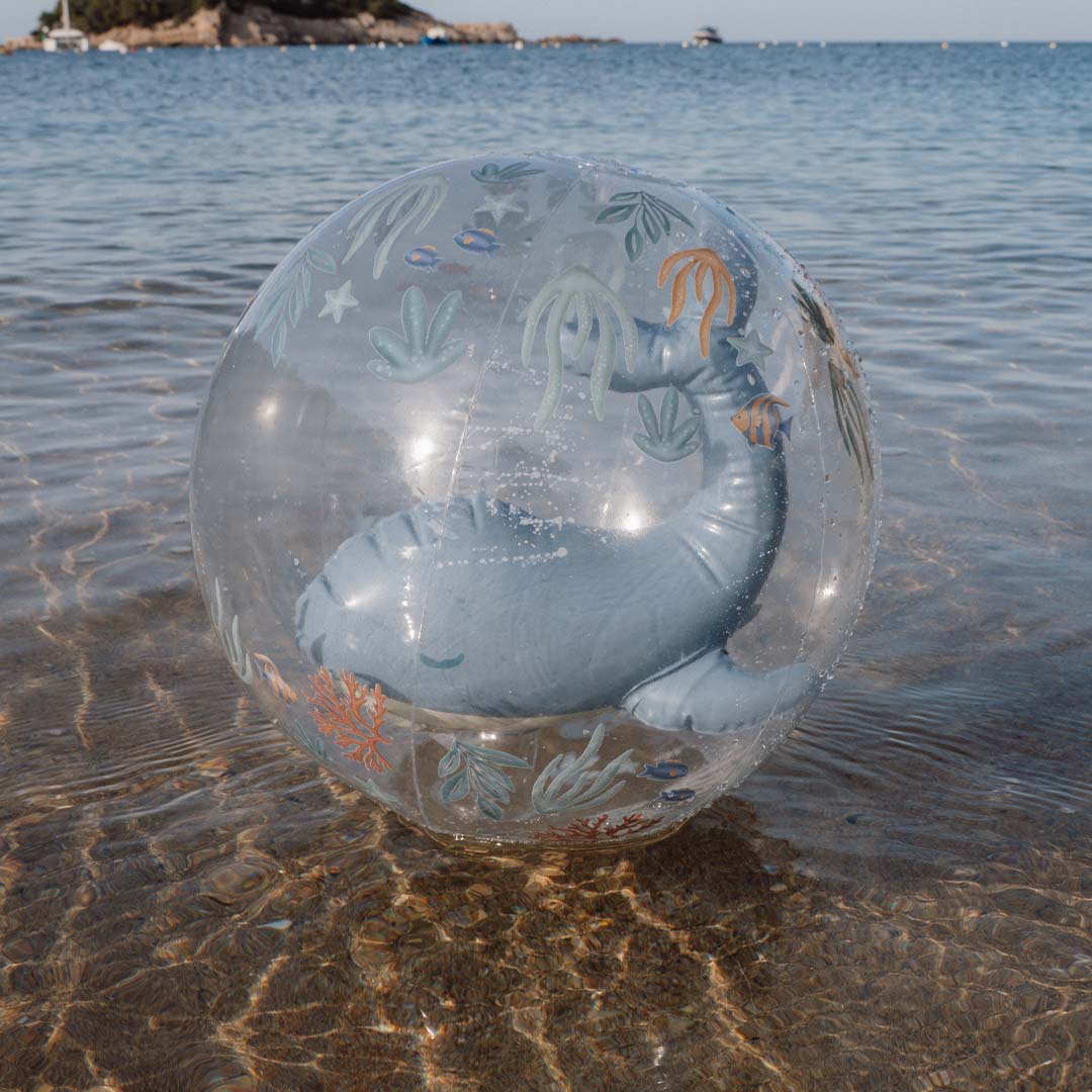 little dutch strandbal 3D ocean world | 2016389. |3
