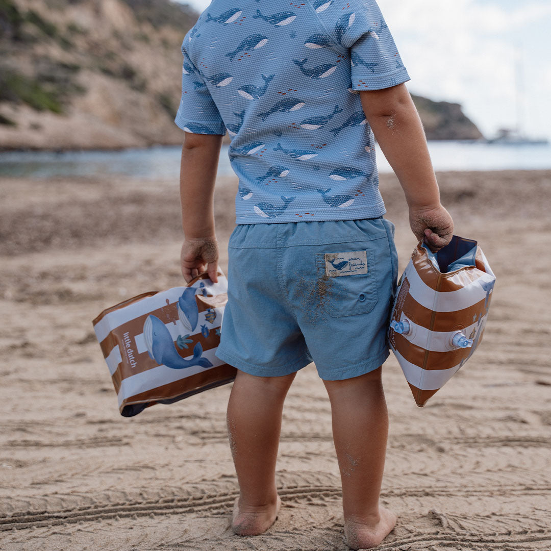 little dutch zwembandjes ocean world - 2-6 jaar | 2016384 | 5