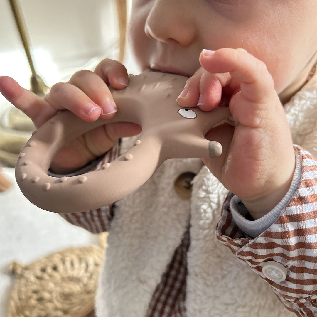 maison petit jour bijtspeelgoed egel | AH201R | 1