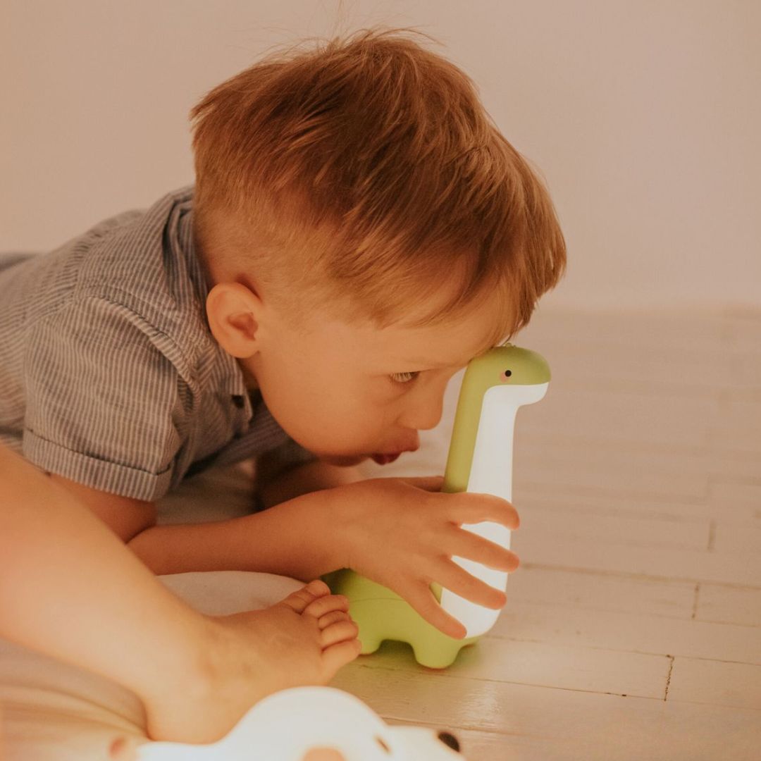 mary's nachtlampje dinosaurus | 66.001.17 | 2