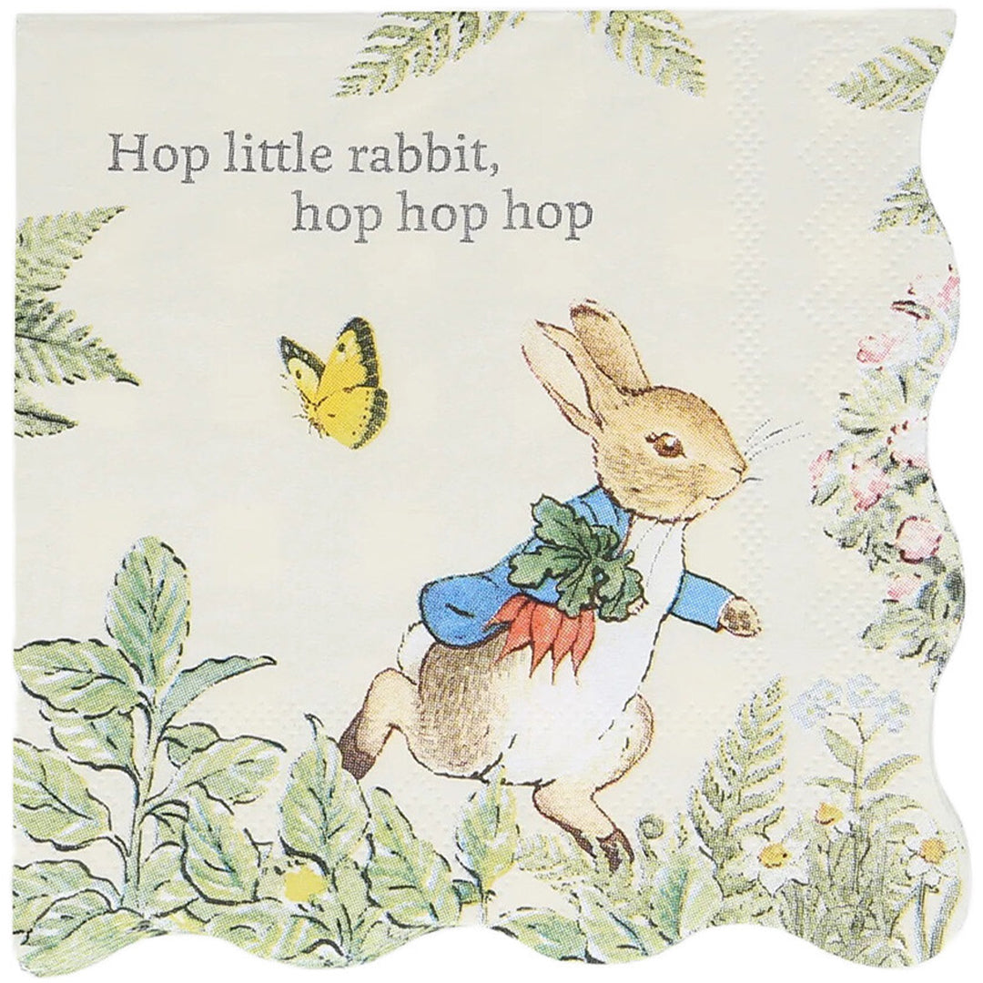 meri meri servetten pieter konijn in de tuin - klein - 16 st  | 267151 | 0
